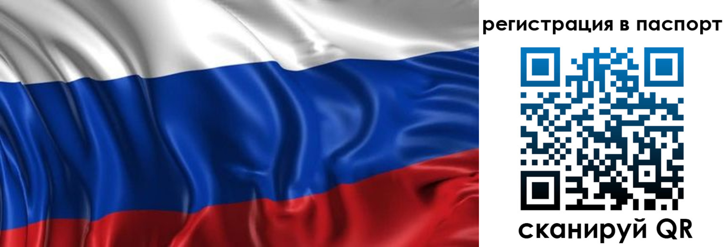найти адрес прописки в Дмитрове
